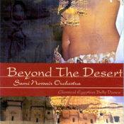 Beyond the Desert Cover